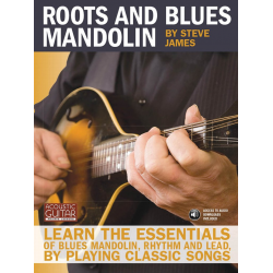 Roots and Blues Mandolin - Steve James