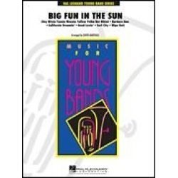 Big Fun In The Sun - David Marshall