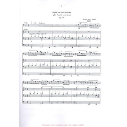 Thema und Variationen op.37 - Georg ter Voert