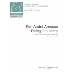 Falling into Mercy - Kim André Arnesen
