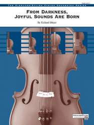 From Darkness Joyful Sounds Born (s/o) - Richard Meyer
