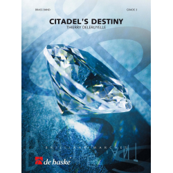 Citadel's Destiny - Thierry Deleruyelle