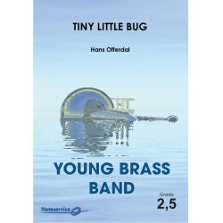 Tiny Little Bug - Hans Offerdal