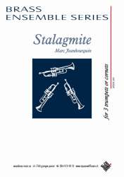Stalagmite - Marc Jeanbourquin