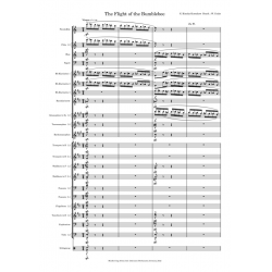 The Flight of the Bumblebee - Nicolaj / Nicolai / Nikolay Rimskij-Korsakov / Arr. William Crake