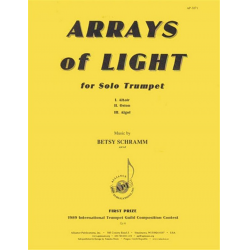 Arrays of Light - Betsy Schramm