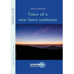 Voice of a new-born sunbeam - Marco Somadossi