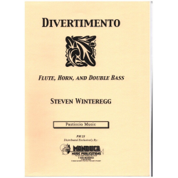 Divertimento - Steven Winteregg