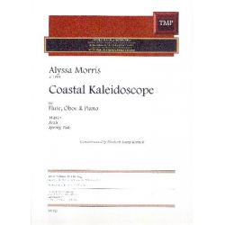 Coastal Kaleidoscope - Alyssa Morris