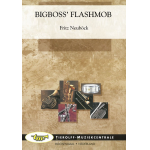 Bigboss' Flashmob - Fritz Neuböck
