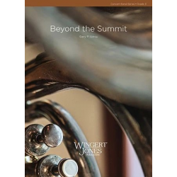 Beyond the Summit - Gary P. Gilroy