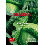 Brassica - Blasorchester - Mario Bürki