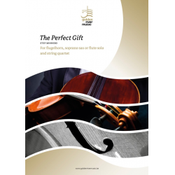 The Perfect Gift - Stef Minnebo