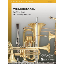 Wondrous Star - Timothy Johnson