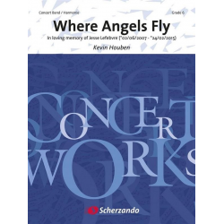 Where Angels Fly - Kevin Houben