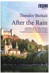 After the Rain - Sax, Voice, Piano - Theodor Burkali