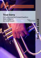 True Sorry - Ibrahim Maalouf / Arr. Henk Ummels